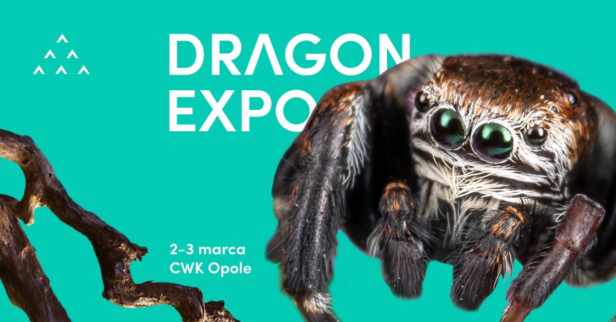 Giełda Terrarystyczna Dragon Expo